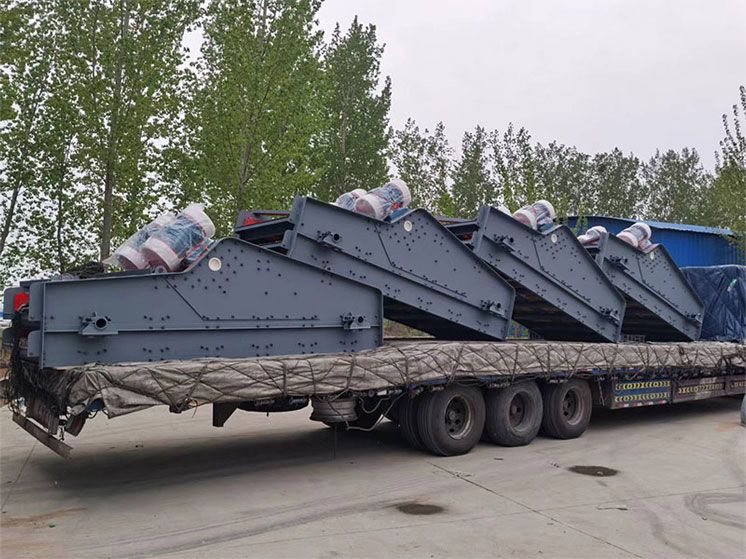 D体育·电子(中国)官方网站